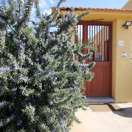 Serena Guest House-3