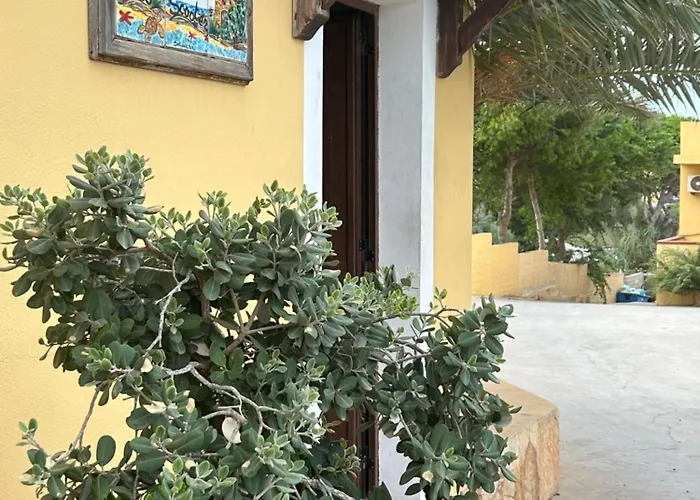 Dell' Acqua